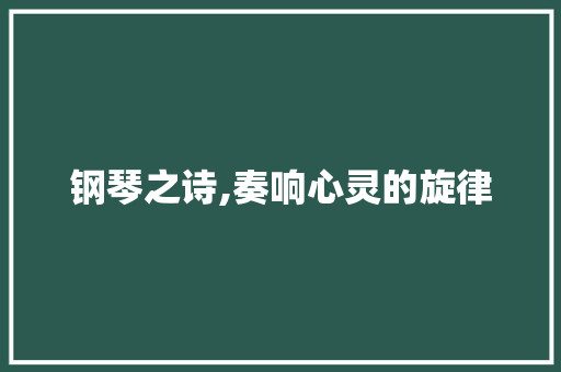 钢琴之诗,奏响心灵的旋律