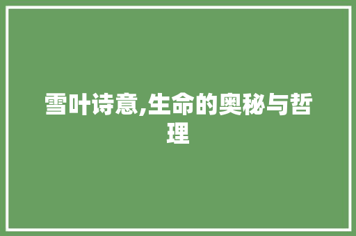 雪叶诗意,生命的奥秘与哲理