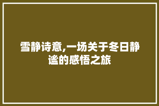 雪静诗意,一场关于冬日静谧的感悟之旅