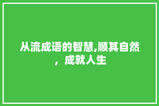 从流成语的智慧,顺其自然，成就人生 工作总结