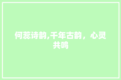 何蕊诗韵,千年古韵，心灵共鸣 演讲稿