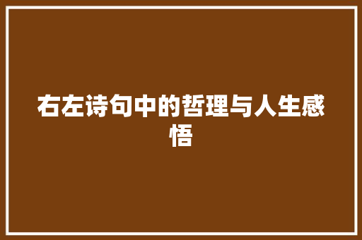 右左诗句中的哲理与人生感悟