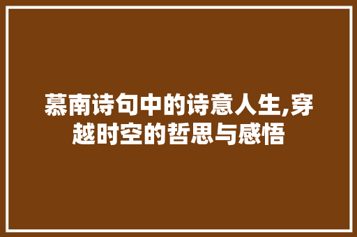 慕南诗句中的诗意人生,穿越时空的哲思与感悟