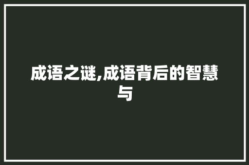 成语之谜,成语背后的智慧与