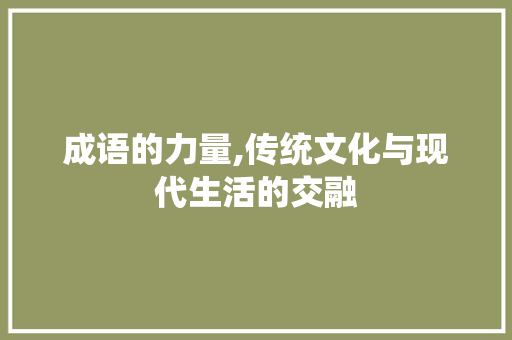 成语的力量,传统文化与现代生活的交融