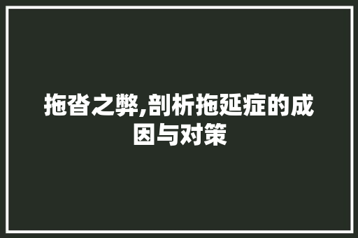 拖沓之弊,剖析拖延症的成因与对策
