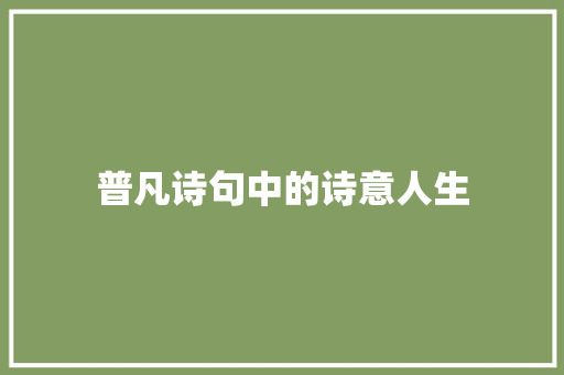 普凡诗句中的诗意人生 演讲稿