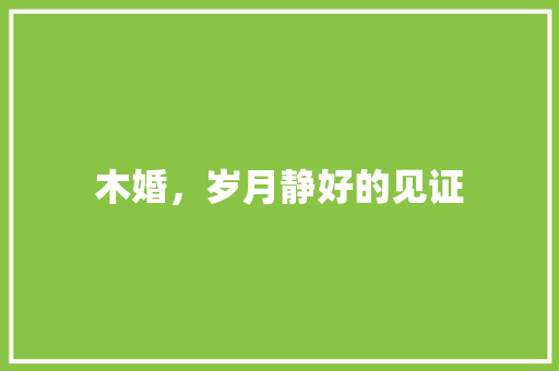 木婚，岁月静好的见证