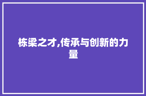 栋梁之才,传承与创新的力量
