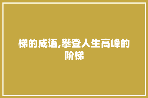 梯的成语,攀登人生高峰的阶梯