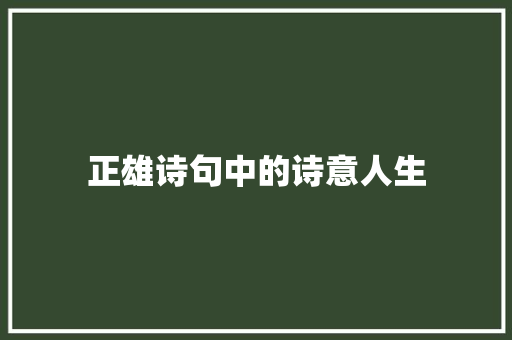 正雄诗句中的诗意人生 个人简历