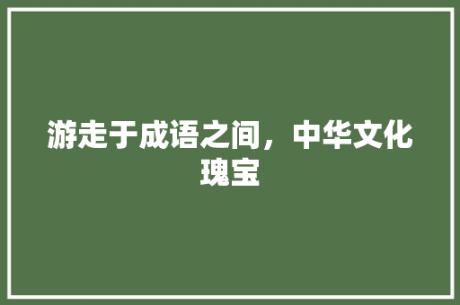 游走于成语之间，中华文化瑰宝