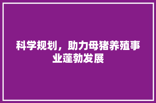 科学规划，助力母猪养殖事业蓬勃发展