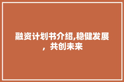 融资计划书介绍,稳健发展，共创未来