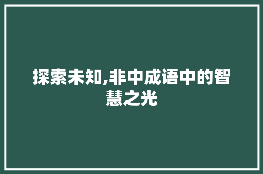 探索未知,非中成语中的智慧之光