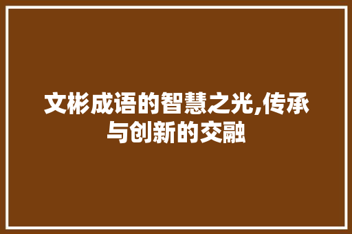 文彬成语的智慧之光,传承与创新的交融