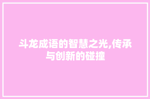 斗龙成语的智慧之光,传承与创新的碰撞