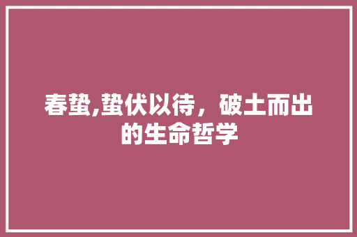 春蛰,蛰伏以待，破土而出的生命哲学