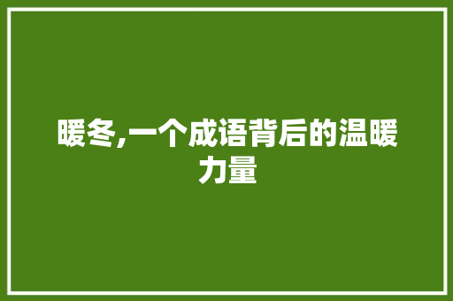暖冬,一个成语背后的温暖力量