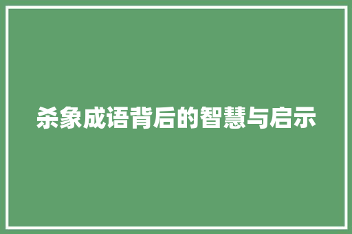 杀象成语背后的智慧与启示