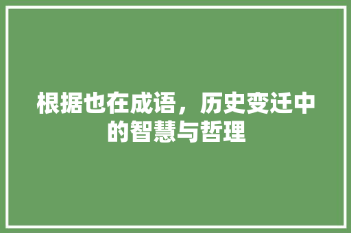 根据也在成语，历史变迁中的智慧与哲理