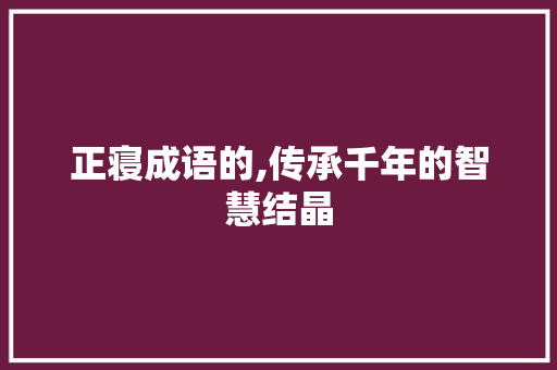 正寝成语的,传承千年的智慧结晶