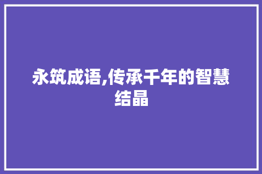 永筑成语,传承千年的智慧结晶