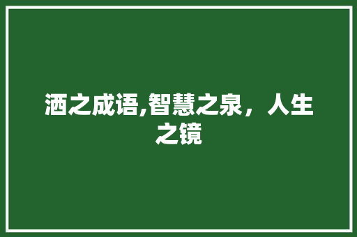 洒之成语,智慧之泉，人生之镜