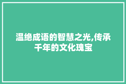 温绝成语的智慧之光,传承千年的文化瑰宝