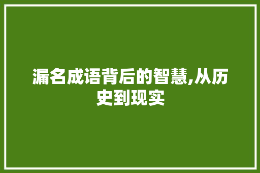 漏名成语背后的智慧,从历史到现实