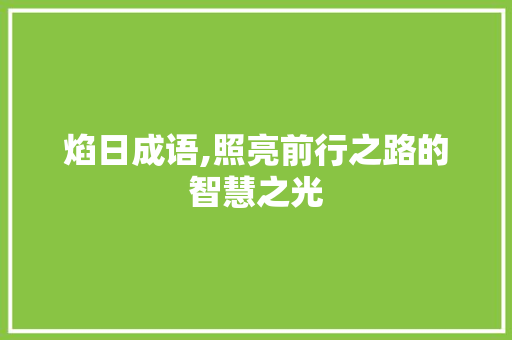 焰日成语,照亮前行之路的智慧之光