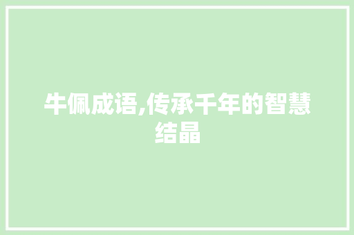 牛佩成语,传承千年的智慧结晶
