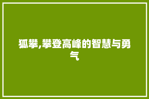 狐攀,攀登高峰的智慧与勇气