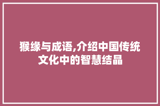 猴缘与成语,介绍中国传统文化中的智慧结晶