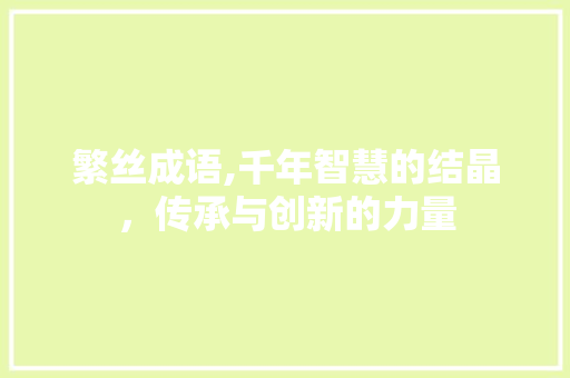 繁丝成语,千年智慧的结晶，传承与创新的力量