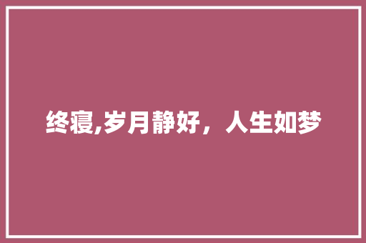 终寝,岁月静好，人生如梦