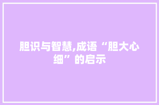 胆识与智慧,成语“胆大心细”的启示