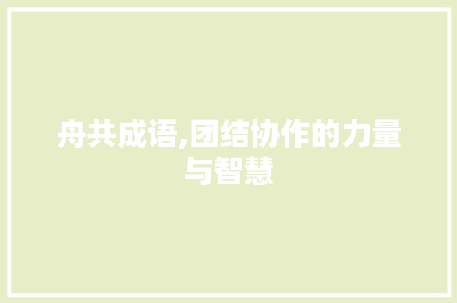 舟共成语,团结协作的力量与智慧