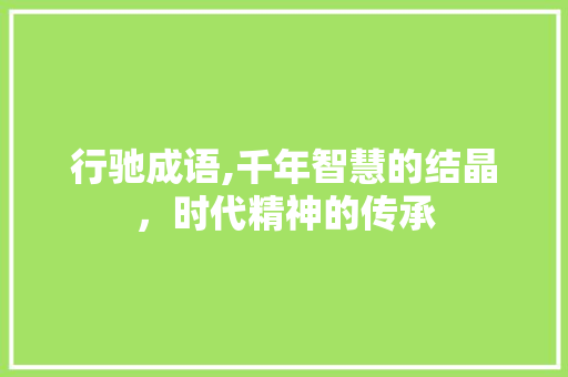 行驰成语,千年智慧的结晶，时代精神的传承