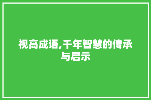 视高成语,千年智慧的传承与启示