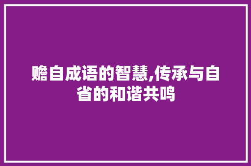 赡自成语的智慧,传承与自省的和谐共鸣