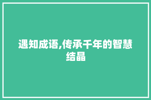 遇知成语,传承千年的智慧结晶
