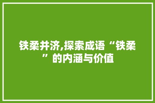 铁柔并济,探索成语“铁柔”的内涵与价值