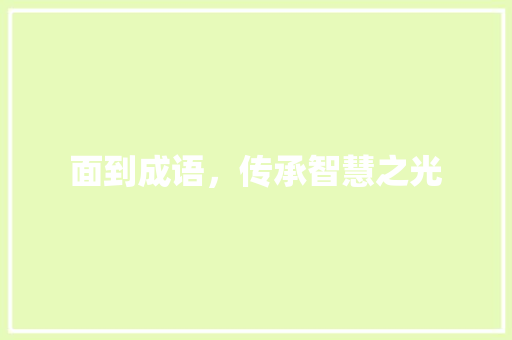 面到成语，传承智慧之光