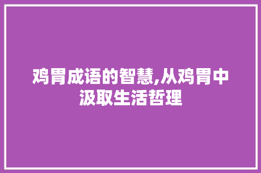 鸡胃成语的智慧,从鸡胃中汲取生活哲理