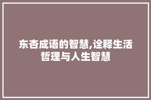 东杏成语的智慧,诠释生活哲理与人生智慧