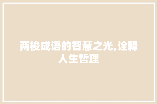 两梭成语的智慧之光,诠释人生哲理