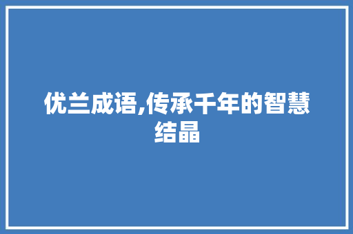 优兰成语,传承千年的智慧结晶