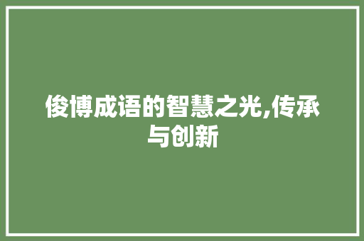 俊博成语的智慧之光,传承与创新
