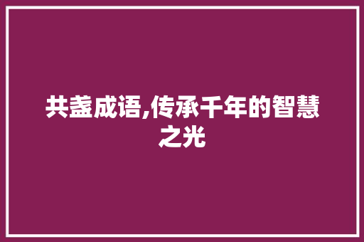 共盏成语,传承千年的智慧之光